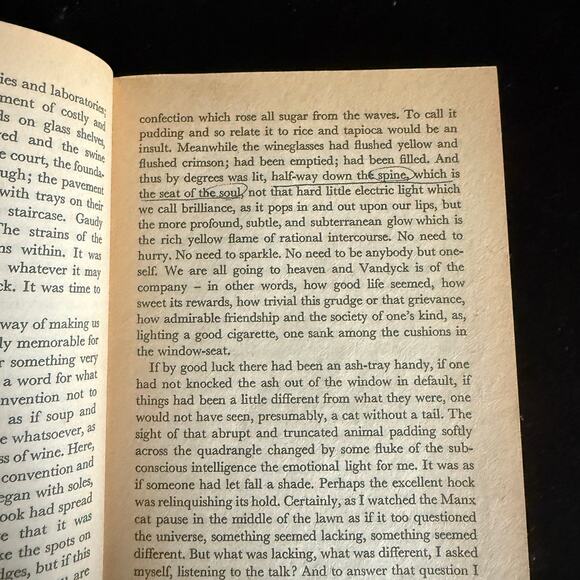 A Room Of One’s Own by Virginia Woolf | 1973 | Vintage Penguin Classic - Picture 5 of 10